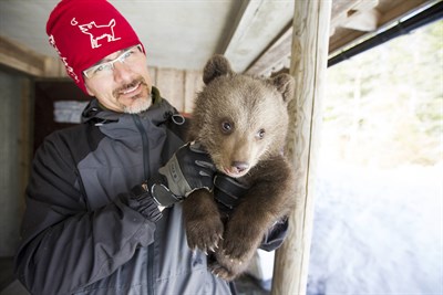 Benny med björnunge