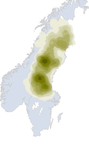 Bj rn I Sverige Karta Karta Bj rn I Sverige Karta Karta