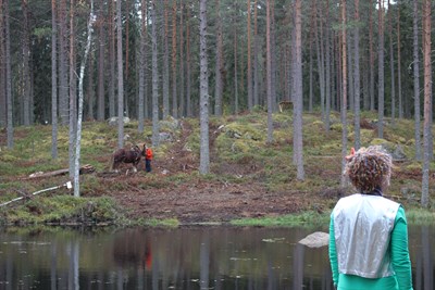 Badtjärn invigning skogsmulle med häst bakgrund