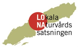 LONA