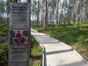 Skylt trottoar Badtjärn