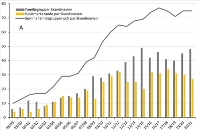 Vargstammens utveckling 2021