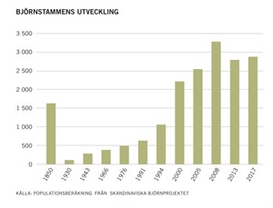 Björnstammens utveckling 2018