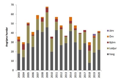 Angripna hundar 2003-2020